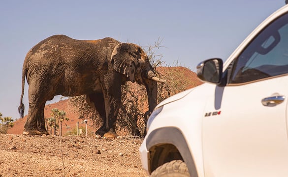Boxed2Go Self-Drive Safaris