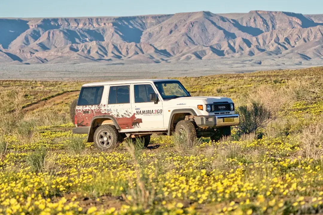 TOYOTALANDCRUISER76-img1