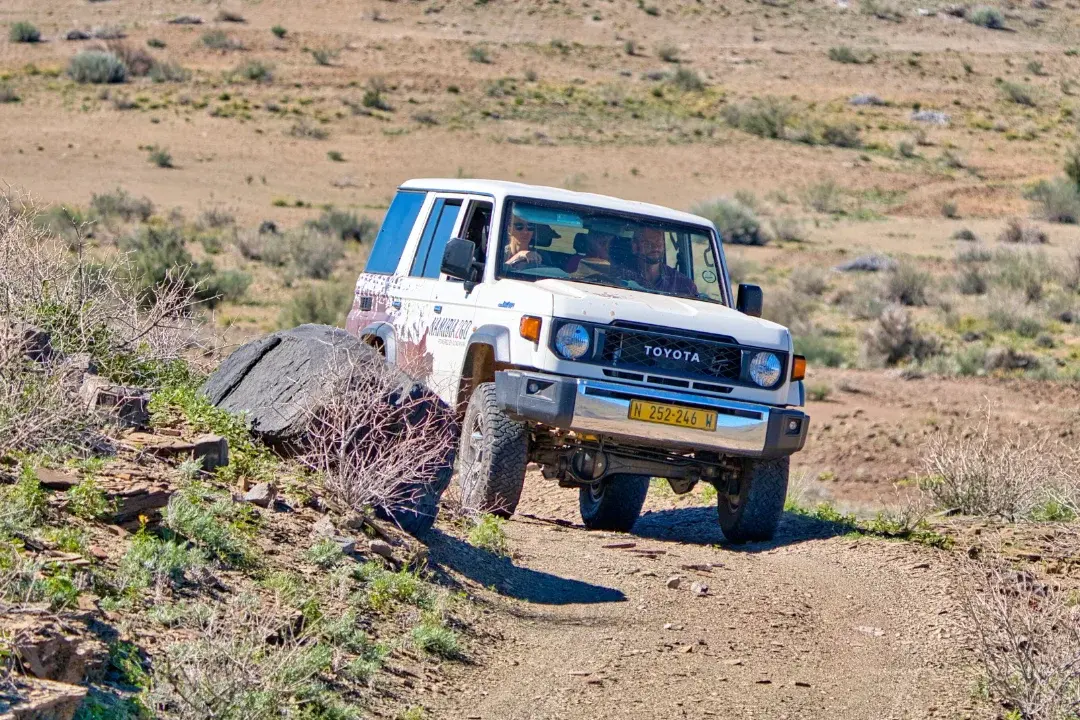 TOYOTALANDCRUISER76-img4