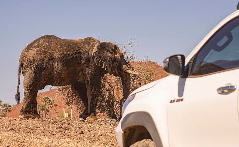 Boxed2Go Self-Drive Safaris, Namibia