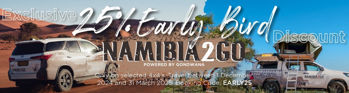 Namibia2Go car rental promotional artwort