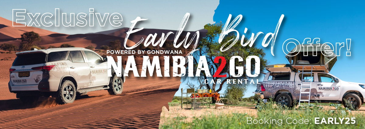 Namibia2Go Werbebanner, Frühbucherrabatt auf Mietwagen, Namibia