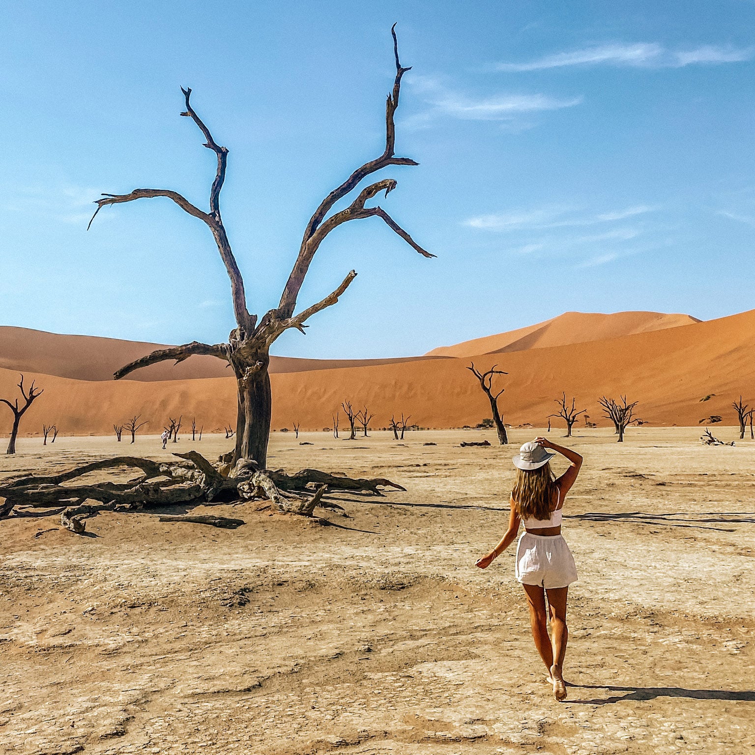 Deadvlei landscape, Gondwana Travel Centre