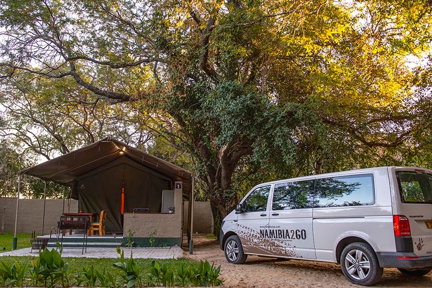 VW Transporter Mietwagen in Namibia parkt unter einem großen Baum auf Campingplatz