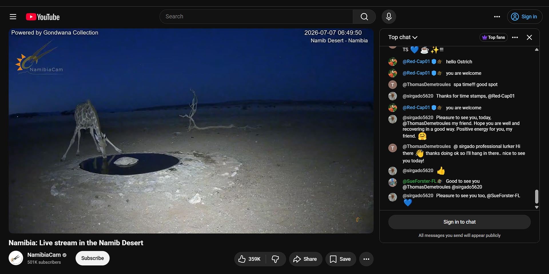 Live im Internet dabei wenn eine Giraffe ihren Durst löscht 'Live Stream in the Namib Desert' auf YouTube-Kanal 'NamibiaCam' der Gondwana Collection Namibia Foto Screenshot des Live Streams