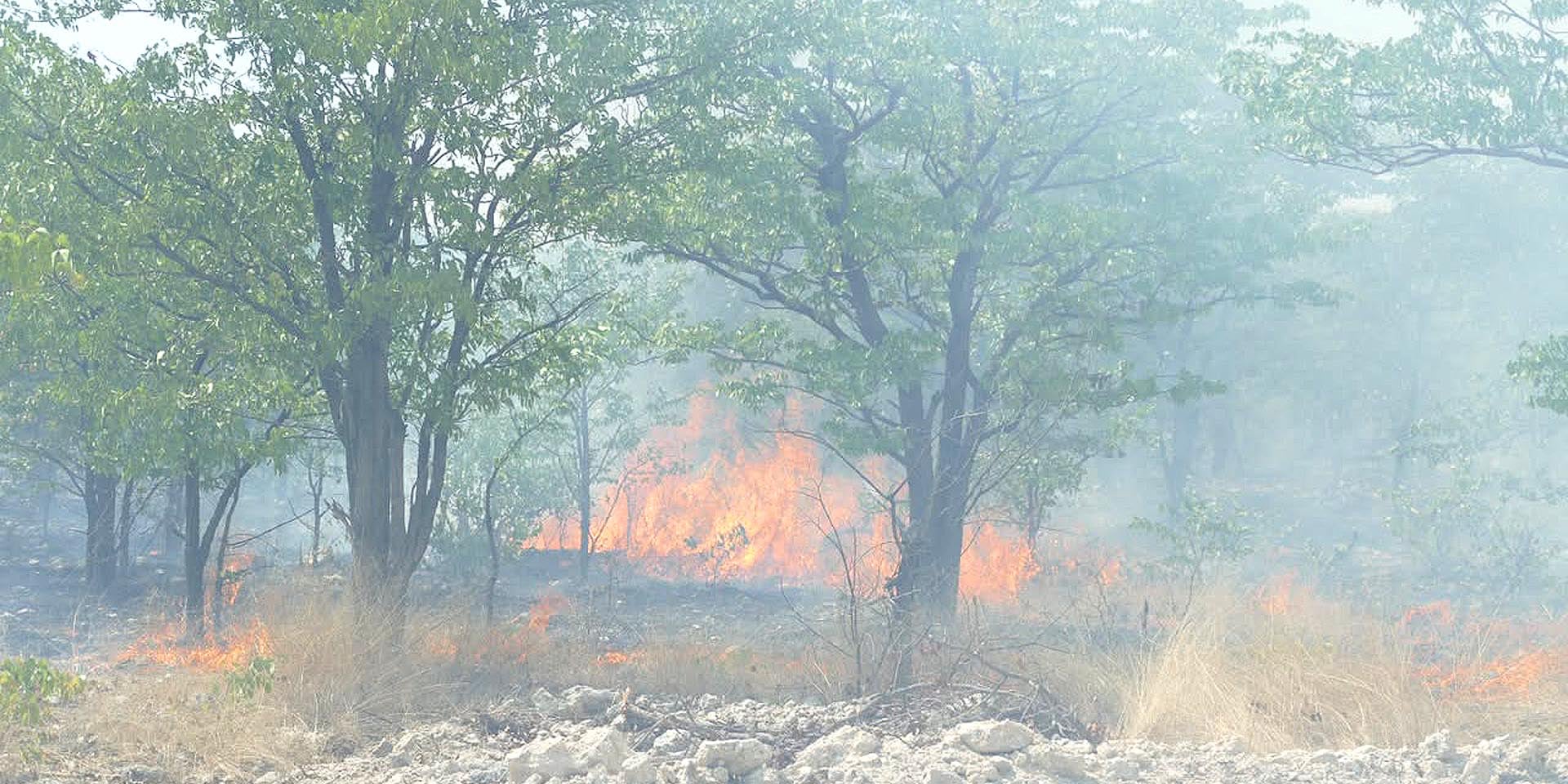 Veldbrand im Etosha Nationalpark im Oktober 2026 Foto Ministerium für Umwelt Forstwesen Tourismus MEFT